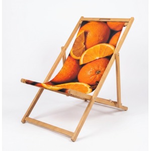 Chilienne adulte avec poignée