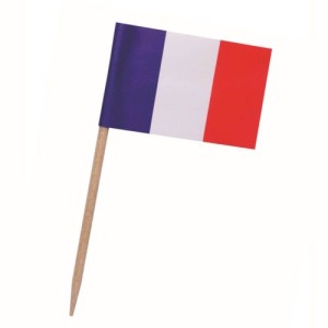 Pique drapeau avec logo France