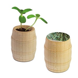 Mini-tonneau en bois personnalisable - Thym