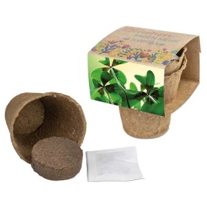 Kit di coltivazione - Bulbi di trifoglio a 4 foglie