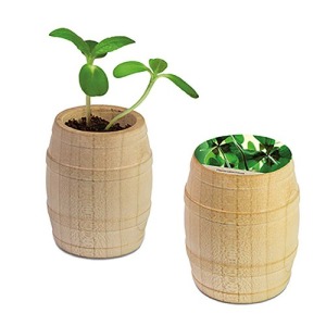 Mini-tonneau en bois personnalisé - Bulbes de trèfle à 4 feuilles