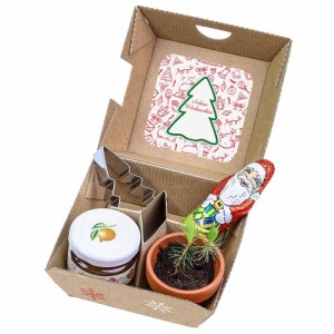 Coffret regalo di Natale standard