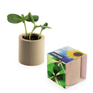 Vaso rotondo in legno - Bulbi di trifoglio a 4 foglie