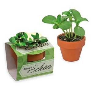 Mini pot terre cuite en fourreau fleur - Bulbes de trèfle à 4 feuilles personnalisé