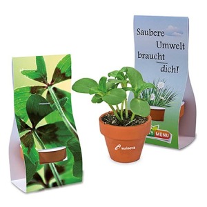 Mini pot terre cuite sous pochette - Bulbes de trèfle à 4 feuilles personnalisé