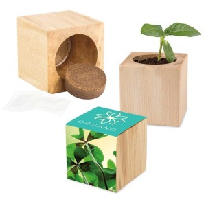 Pot cube bois maxi - Bulbes de trèfle à 4 feuilles avec logo