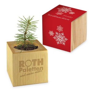 Pot cube bois de bureau de Noël - Design standard - Epicéa - sans gravure laser