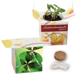 Pot suspendu - Bulbes de trèfle à 4 feuilles publicitaire