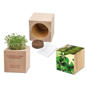 Plante-bois Grande avec graines - Bulbes de trèfle à 4 feuilles personnalisé