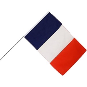 Drapeau personnalisé 60x90cm à agiter sur hampe plastique 90cm