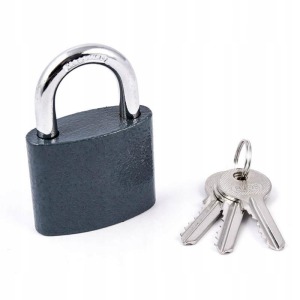 Cadenas personnalisable en fer verni blos 60mm clés