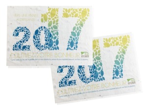 Tapis de semis 10,5 x 14,8 cm - A6 200 gr recto