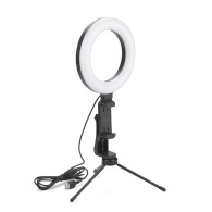Lampe personnalisable annulaire FLASH