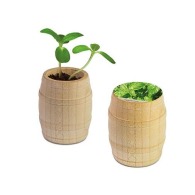 Mini wooden barrel - Basilic