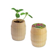 Mini barril de madera - Mezcla de flores de verano