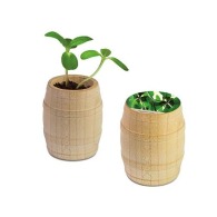 Mini-tonneau en bois personnalisé - Bulbes de trèfle à 4 feuilles