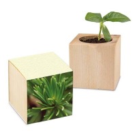 Pot cube bois Mini de Noël - Epicéa - Epicéa