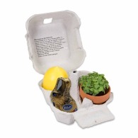 Het plezier in een doos - met mini-aarde potplant set, ei-vormige kaars, chocolade konijn