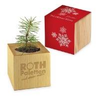 Pot cube bois de bureau de Noël - Design standard - Epicéa - sans gravure laser