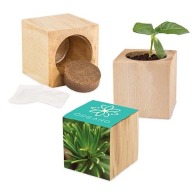 Cubo de Navidad Maxi de madera - Abeto - Abeto