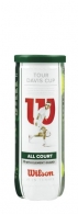 Balle de tennis Wilson Davis Cup