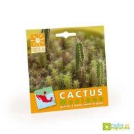 Graines cactus personnalisables en sachet