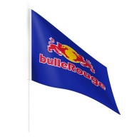 Photo de Drapeau polyester 15x10cm