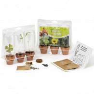 Mini invernadero para cultivar 3 macetas de semillas