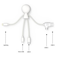 Multi-connector charging cable Dual Type-C & USB input