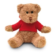 Teddy bear with t-shirt