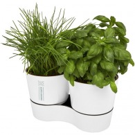 Double pot pour herbes aromatiques