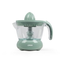Electric juicer white green