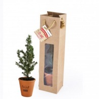 Weihnachtsbaum im Terrakotta-Topf und Prestige-Kraftsack