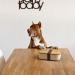 BOXYP lunch box, Lunch box et boîte déjeuner reclame