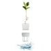 Miniature du produit Lampe de croissance à LED 21W 4