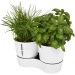 Product thumbnail Double pot for herbs 4