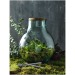 Miniature du produit Terrarium tier en verre recyclé avec set de jardinage 3