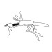 Outils multi fonctions Small R., couteau multifonctions publicitaire