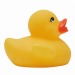 Canards