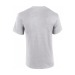 Miniature du produit T-shirt manches courtes ash et gris Gildan 2