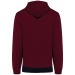 Sweat-shirt tricolore à capuche unisexe cadeau d’entreprise