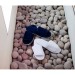 Miniaturansicht des Produkts Open Toe Slippers With Side Fastening - Pantoletten 2
