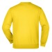 Los colores del suéter de cuello redondo para niños pesados regalo de empresa