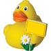Canard voyage - MBW, canard pubblicitario