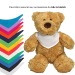 Peluche ours - MBW bedrijfs cadeau