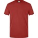 Miniature du produit Tee-shirt workwear personnalisable Homme - James Nicholson 2
