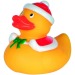 Canard hiver M cadeau d’entreprise