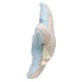Peluche étoile de mer - MBW bedrijfs cadeau