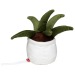 Peluche aloe vera, peluche publicitaire