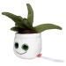 Peluche aloe vera cadeau d’entreprise